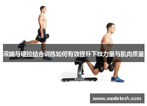 深蹲与硬拉结合训练如何有效提升下肢力量与肌肉质量